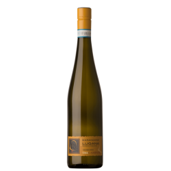 Lugana DOC Cemento BIO 2022