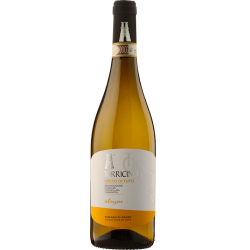 Torricino Fiano di Avellino DOCG 2021 Torricino Fiano di Avellino DOCG 2021